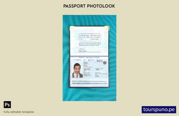 Plantilla de apariencia de foto de pasaporte de Corea del Sur lista para imprimi